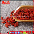 Baie de Goji coltivazione baies de goji propriétés biologiques goji baies crues